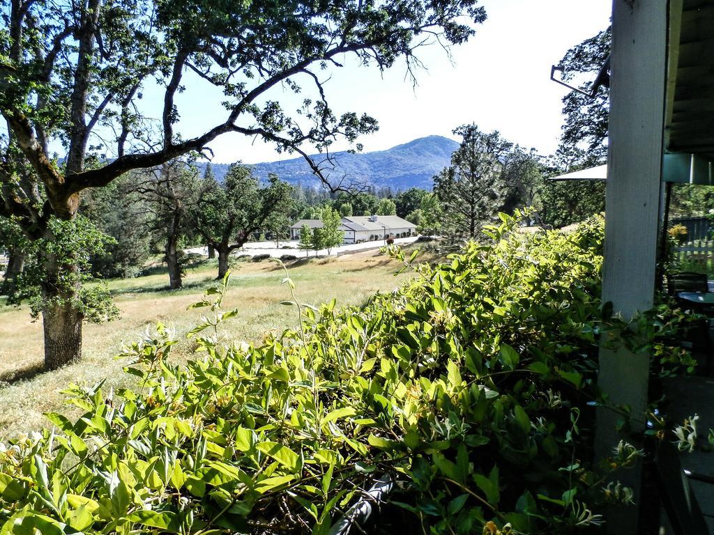 Charming Downstairs Unit Apartment Oakhurst Exterior foto