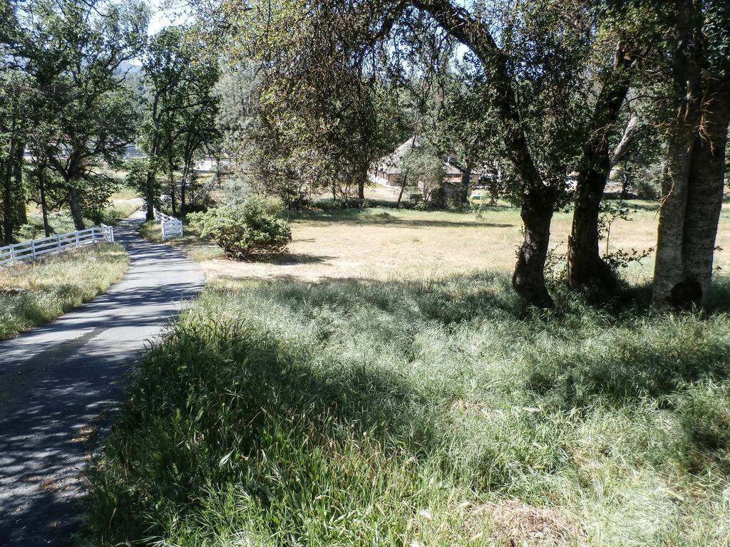 Charming Downstairs Unit Apartment Oakhurst Exterior foto