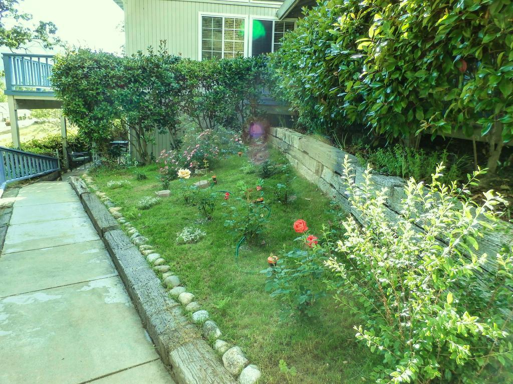 Charming Downstairs Unit Apartment Oakhurst Exterior foto